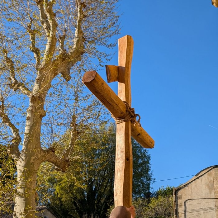 PXL_20260403_165657217.MP