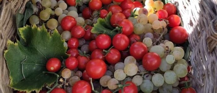 raisin_tomates_cerises-1